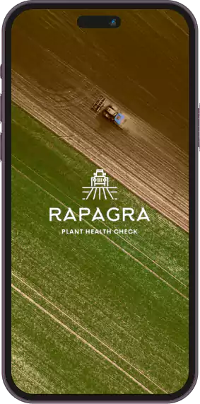 Rapagra