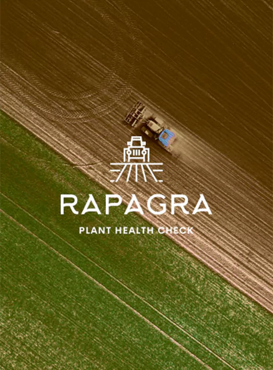 Rapagra